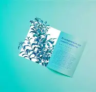中欧体育官网-阿尔艾因防线稳固，力拼蒙特雷全力拿分的简单介绍